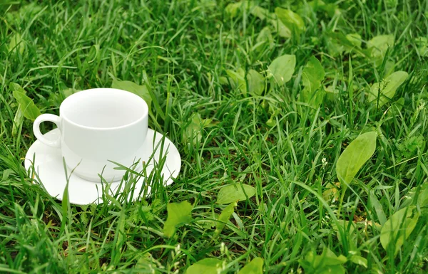 stock image Cup with saucer on grass