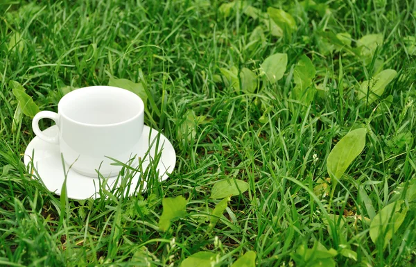 Cup with saucer on grass — Stock Photo, Image