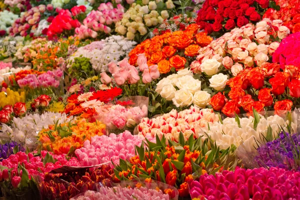 Flores Imagem De Stock
