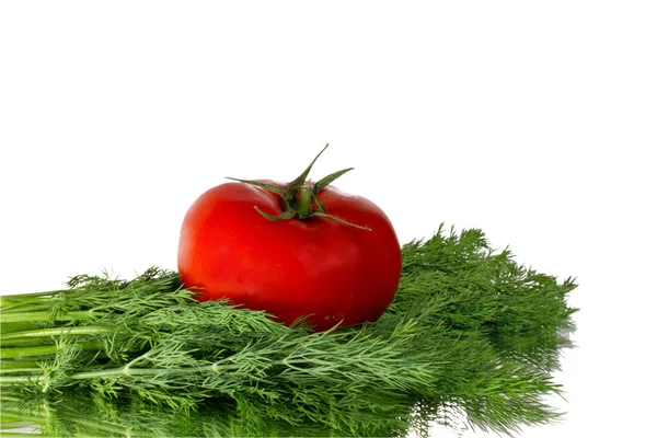 FRESH TOMATO AND DILL — Stock Photo, Image