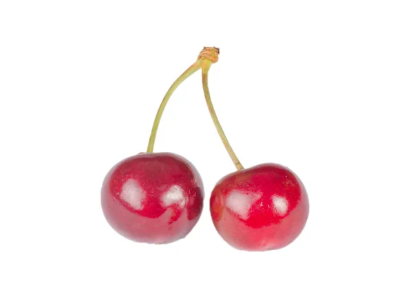 stock image Two cherry