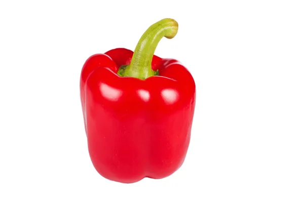 Single red sweet pepper — Stock Photo, Image