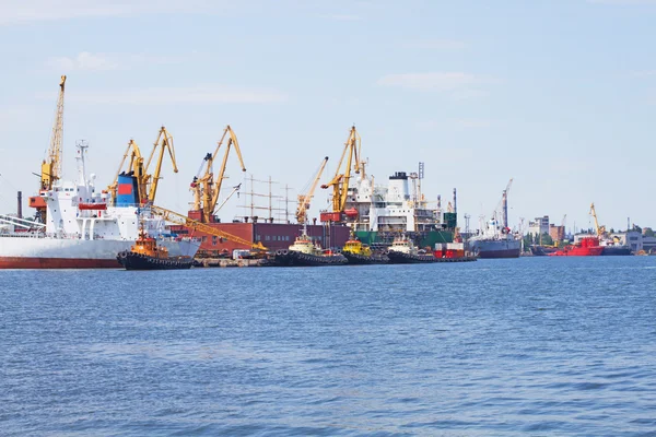 View on trading port — Stock Photo, Image