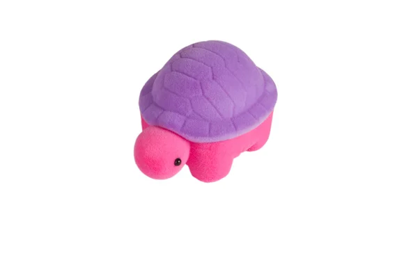Färg mjuk sköldpadda leksak — Stockfoto