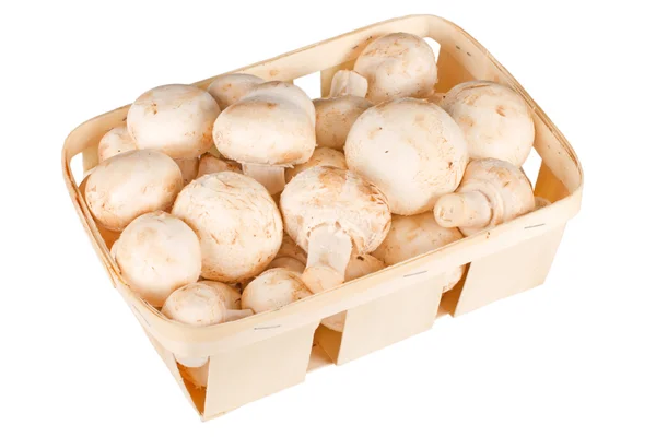 stock image Mushrooms in a basket