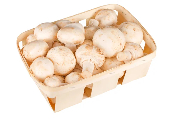 Funghi in un cesto Foto Stock Royalty Free