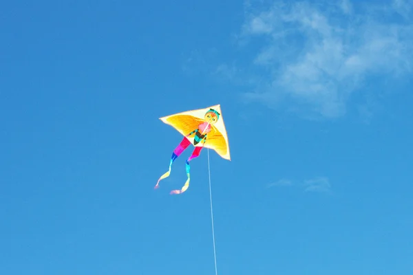 stock image Surfing kite in sky