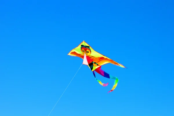Surfing kite in sky1 Royalty Free Stock Images