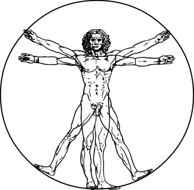 classic Vitruvian man clipart