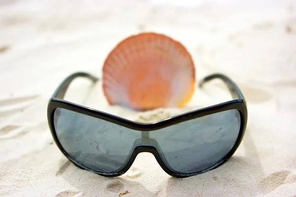 Natura morta con occhiali da sole e shell — Foto Stock