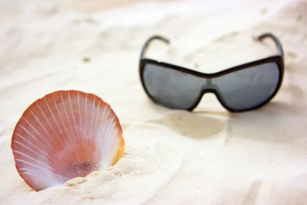 Deniz kabuğu ve güneş gözlüğü — Stok fotoğraf