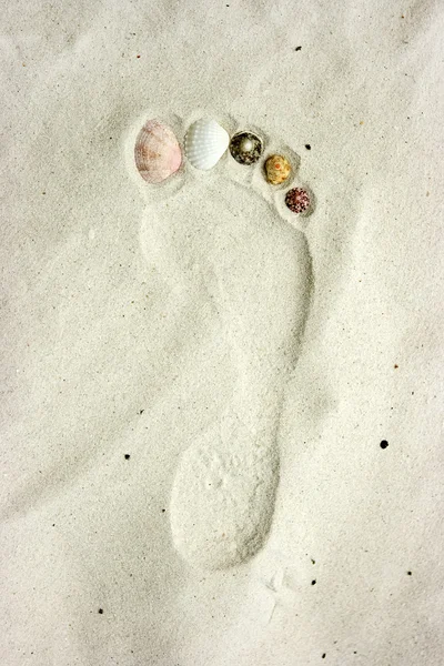 Trittbrettfahrer im Sand — Stockfoto