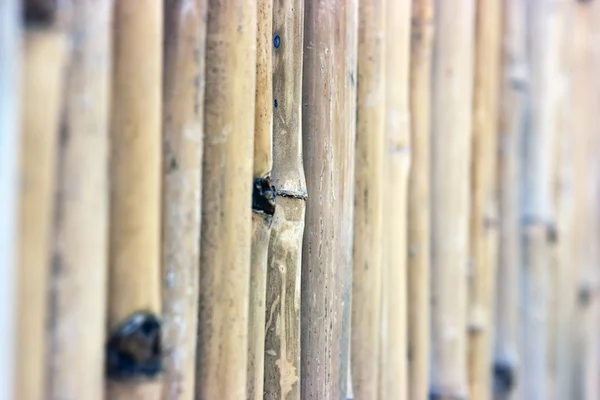 Gardul de bambus — Fotografie, imagine de stoc