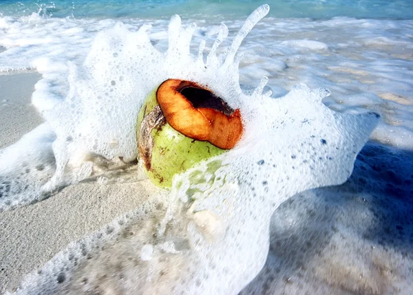 Coconut in waves — Stock Photo, Image