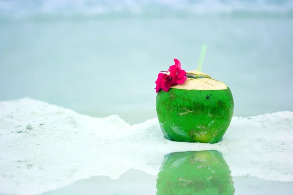 海滩上的椰子 图库图片