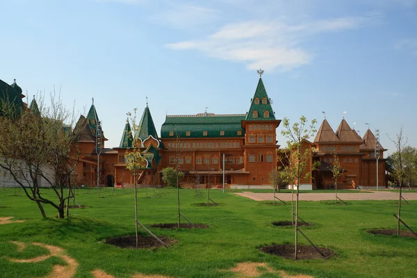 Fából készült kolomenskoye-palota — Stock Fotó