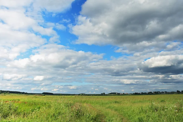 stock image Summer landscape