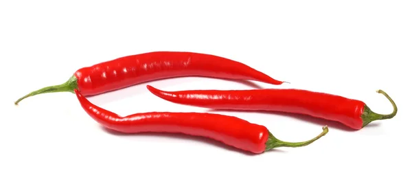Färsk red hot chili peppar — Stockfoto