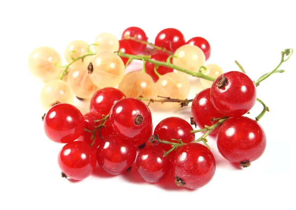 Groselhas vermelhas e brancas frescas — Fotografia de Stock
