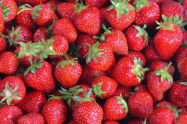 Fresh strawberries Royalty Free Stock Images