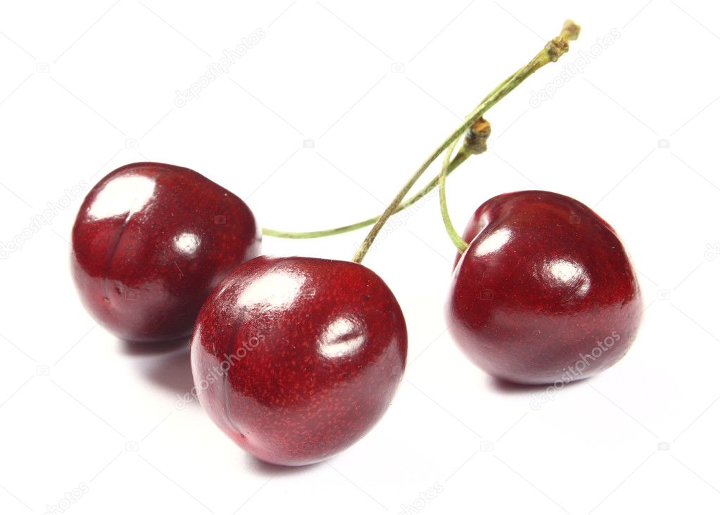 Fresh cherries on white