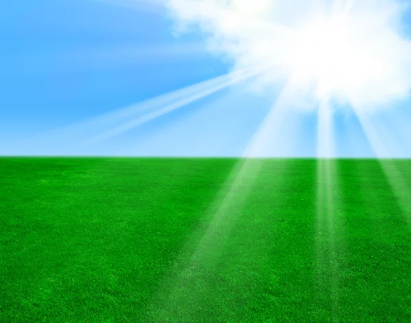 Green grass, the blue sky — Stockfoto