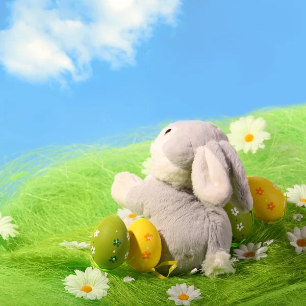 Huevos de Pascua y conejo — Foto de Stock