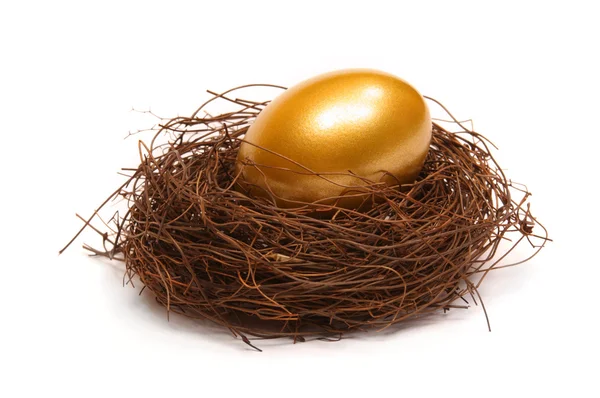 Gold egg in a real nest — Stock Photo, Image