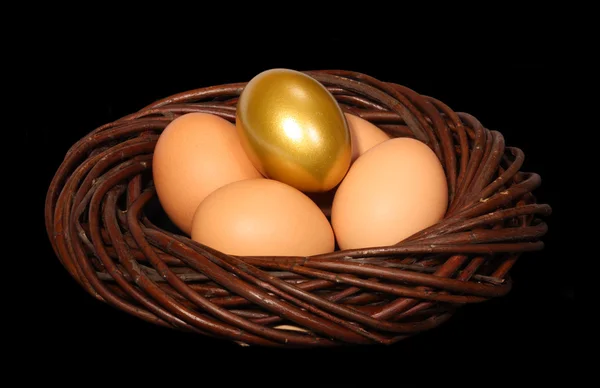 Golden Egg — Stock Photo, Image