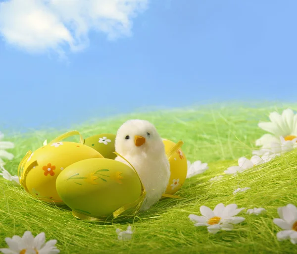 Huevo de Pascua colorido pintado — Foto de Stock