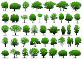 vektorové stromy