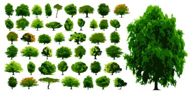 Vector trees clipart