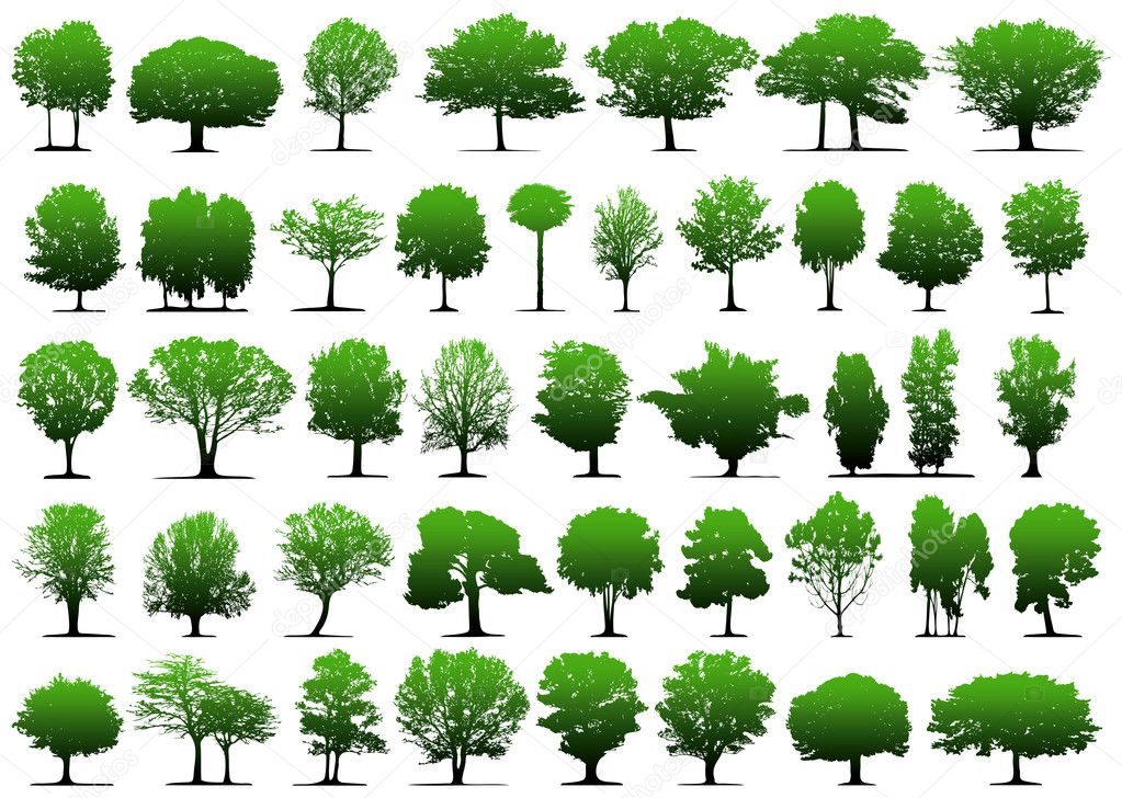 Vector trees