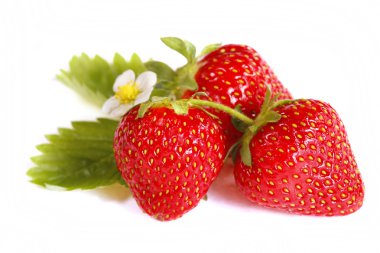 Isolated fruits - Strawberries clipart