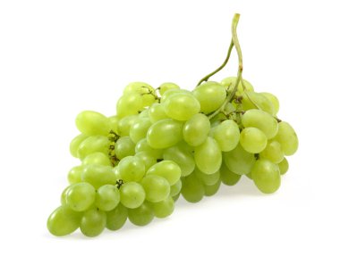 Green grapes clipart