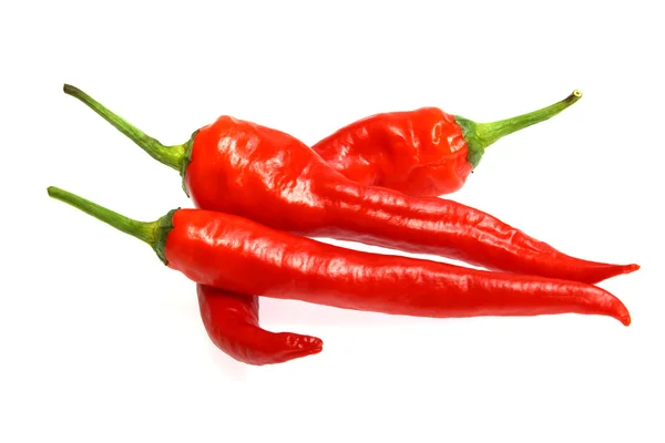 Verse rode hete chili peper — Stockfoto
