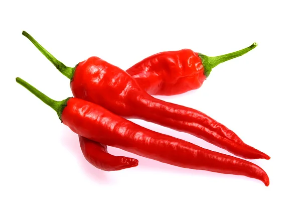 Świeża czerwona papryczka chili — Zdjęcie stockowe