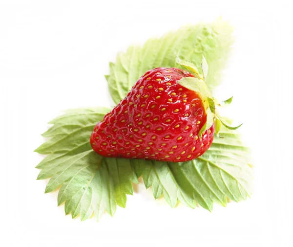 Isolated fruits - Strawberries — Stock Photo, Image