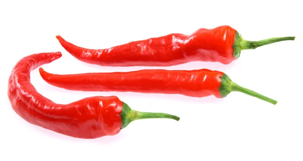 Φρέσκο κόκκινο καυτό πιπέρι τσίλι — Φωτογραφία Αρχείου