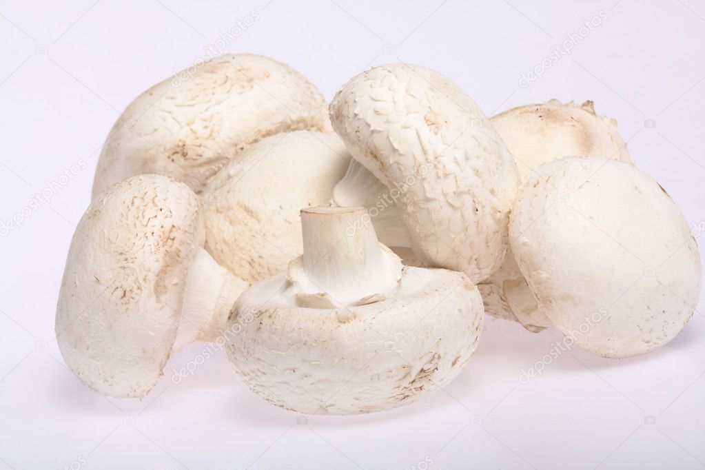 Ripe mushroom isolated on white background