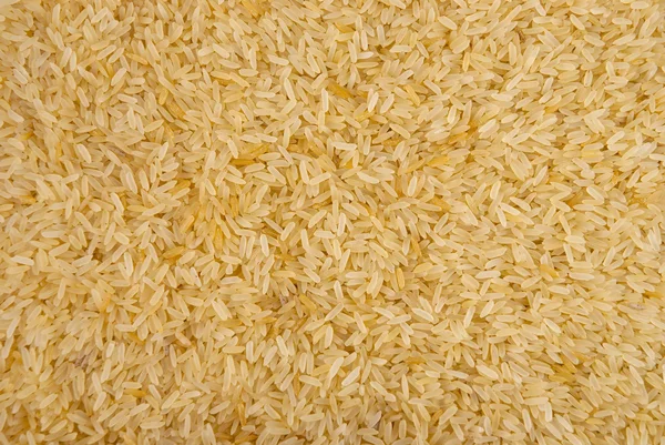 stock image Rice kernels filling the frame