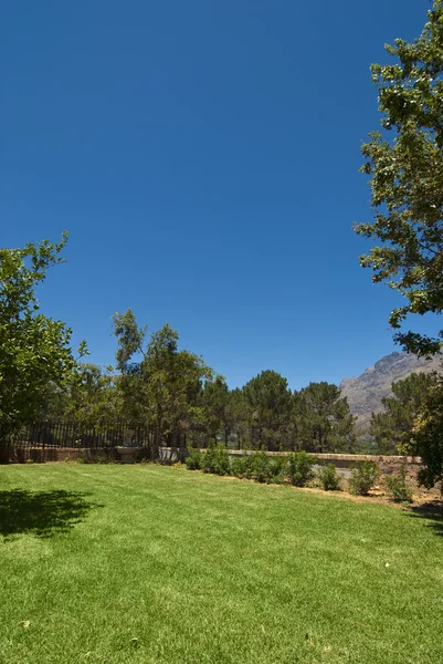 Stock image Garden with large lawn