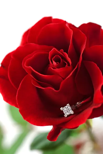 Modern diamond engagement ring in rose Royalty Free Stock Photos