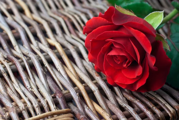 枝編み細工品の背景に赤いバラ — ストック写真