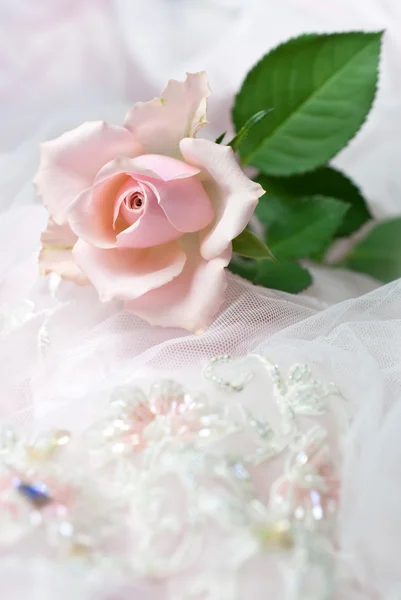 Ροζ τριαντάφυλλο σε γάμο δαντελλών (αντίγραφο χώρου) — Φωτογραφία Αρχείου