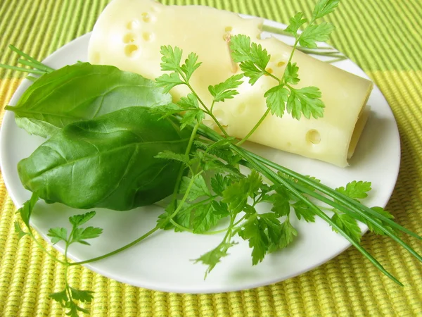 Sýr a bylinky — Stock fotografie