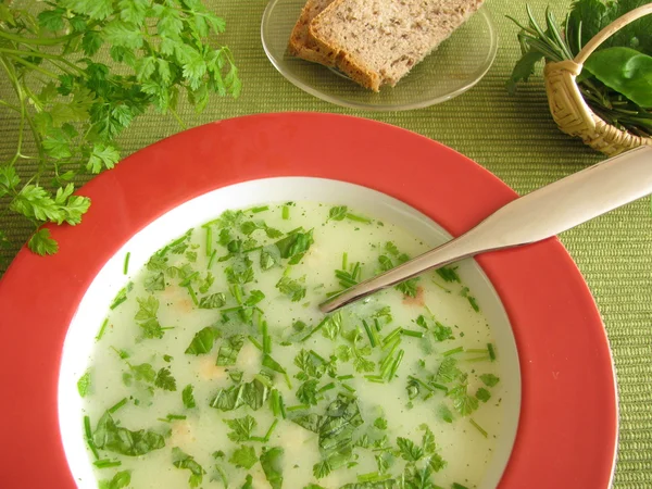Cream-soup with herbs — Stock Photo, Image