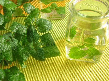 Aromatic vinegar with lemon balm clipart