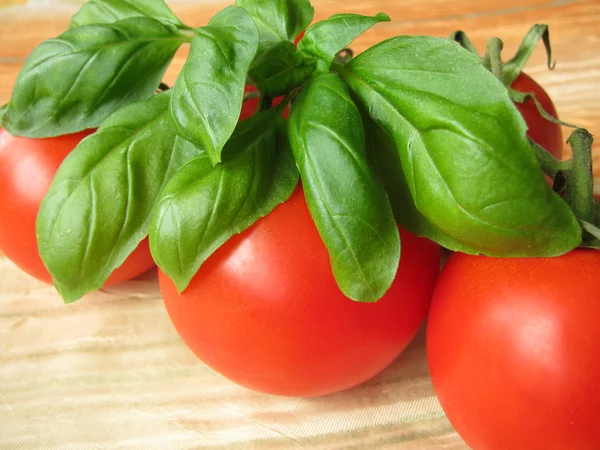Tomate e manjericão — Fotografia de Stock