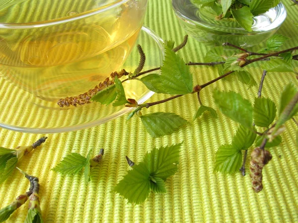 Brzozy liście herbaty — Zdjęcie stockowe